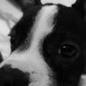 Meet your Posher, Lily